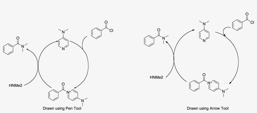 If - Quinoline-4-carboxylic Acid, transparent png download