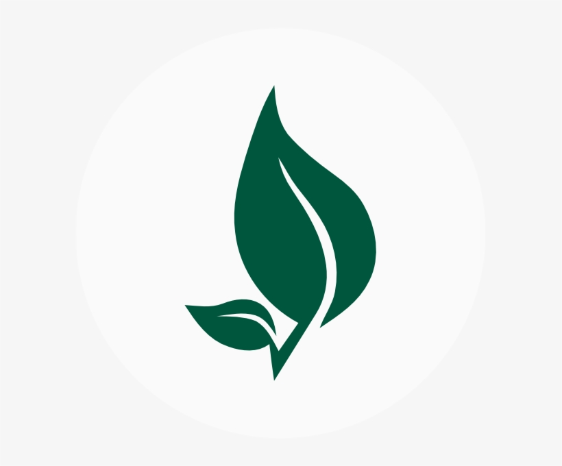 What We Do - Organic Leaf Png, transparent png download