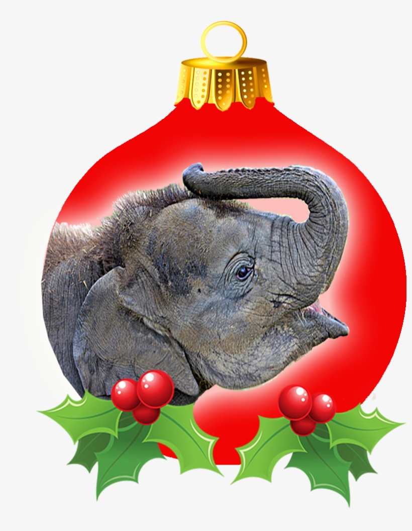 Ele 2 Christmas Bulb - Indian Elephant, transparent png download