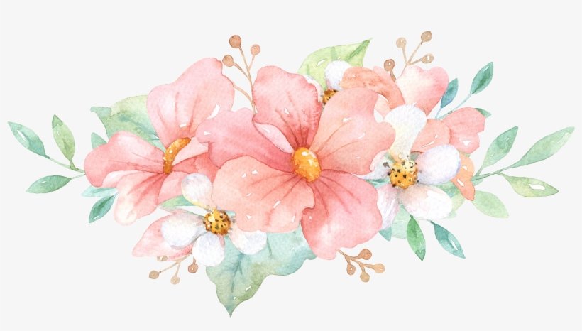 35 - Impatiens, transparent png download