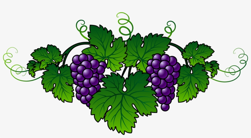 Wine Common Grape Vine Embroidery Berry - Grape, transparent png download