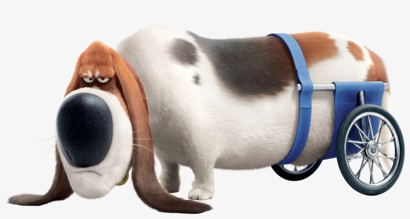 Pops Pets - Secret Life Of Pets Old Dog, transparent png download