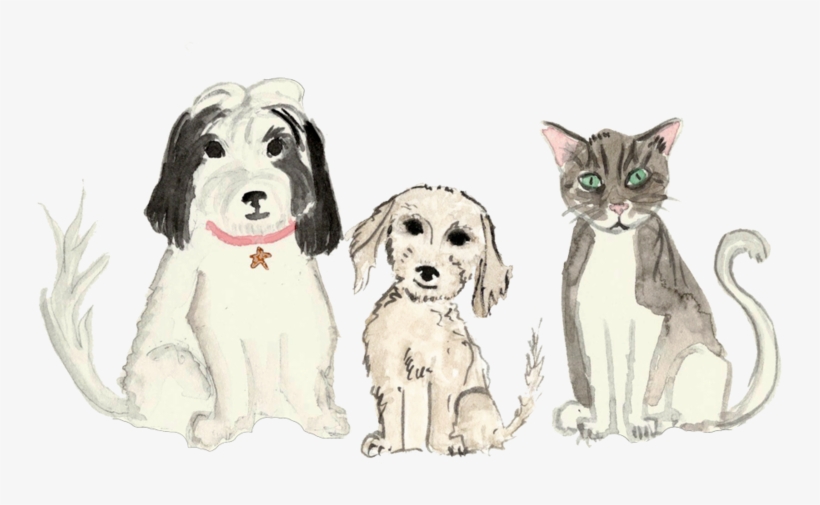Pets - Portable Network Graphics, transparent png download
