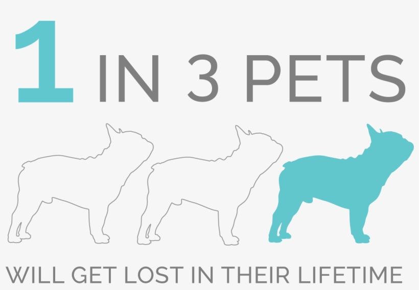 Let That Sink In For A Bit - Alaskan Malamute, transparent png download