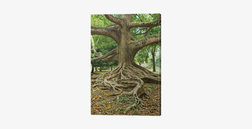 Die Sieben Tröstungen (buch), transparent png download