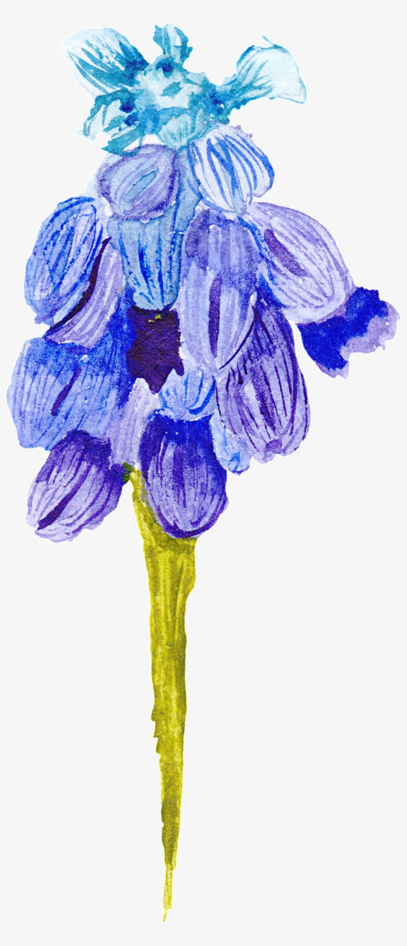 Blue Purple Flower Transparent Decorative, transparent png download