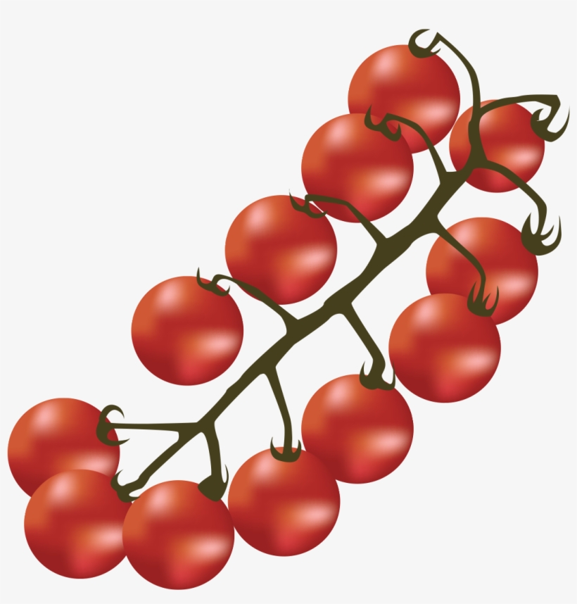 Candyland - Canada, transparent png download