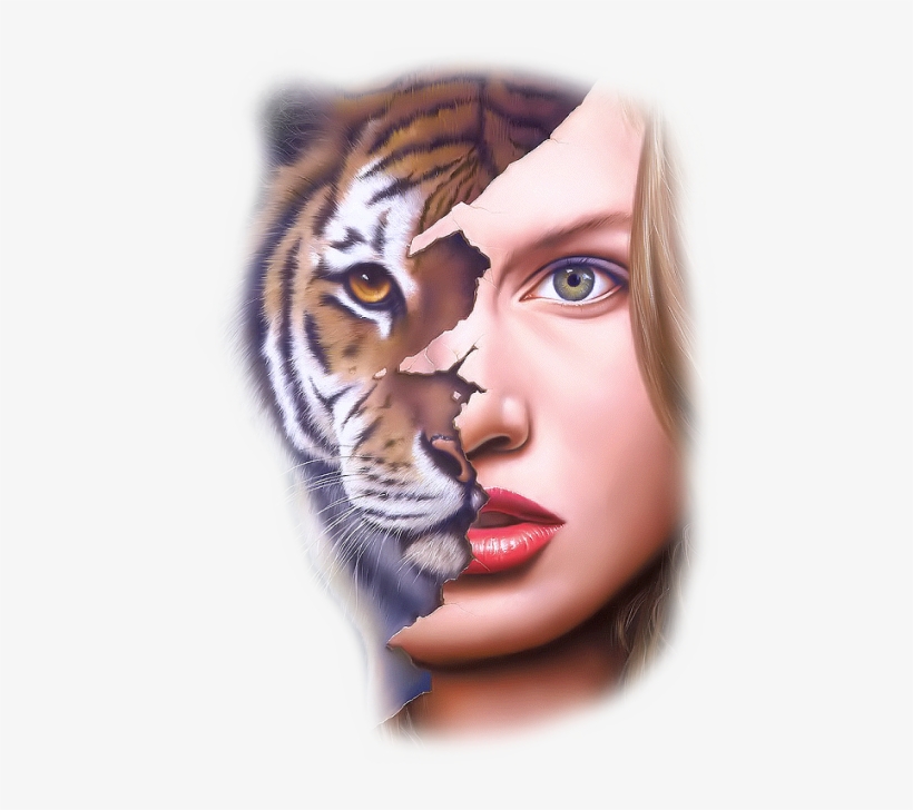 Buy Tiger-beauty Short Sleeve Tee At Wish - Jim Warren Tiger, transparent png download