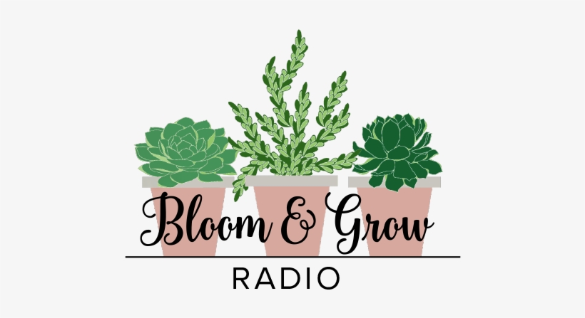 Monstera 101 With @tropicaloco - Bloom And Grow, transparent png download