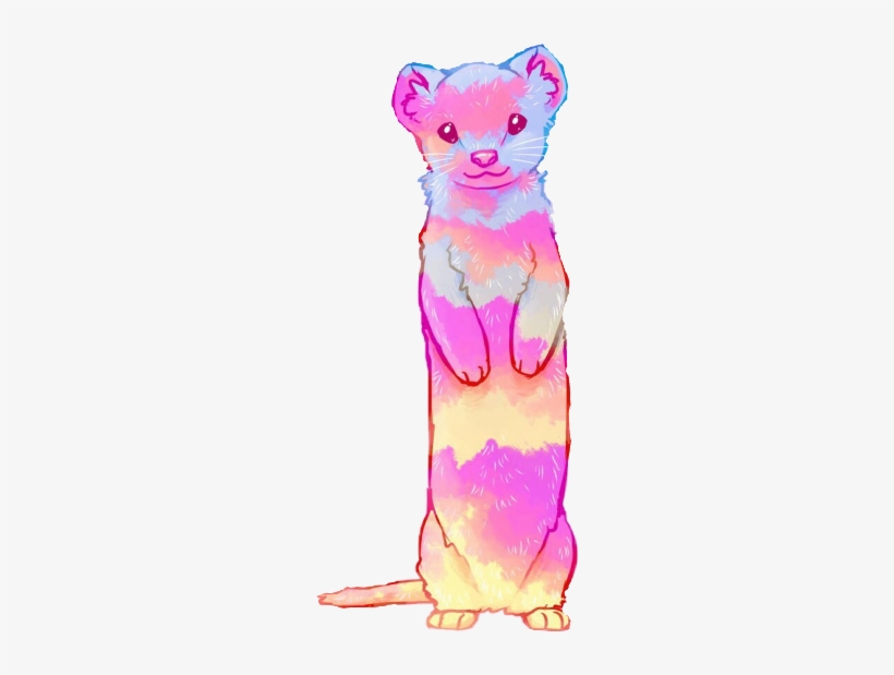 Cuteanimals Ferret Rainbows Freetoedit - Latest Kate, transparent png download