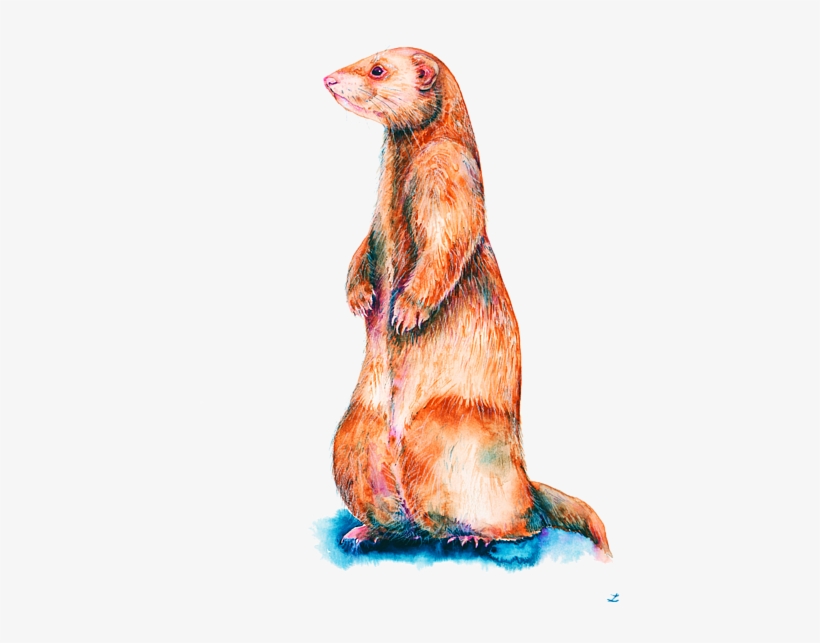 Bleed Area May Not Be Visible - Painting, transparent png download