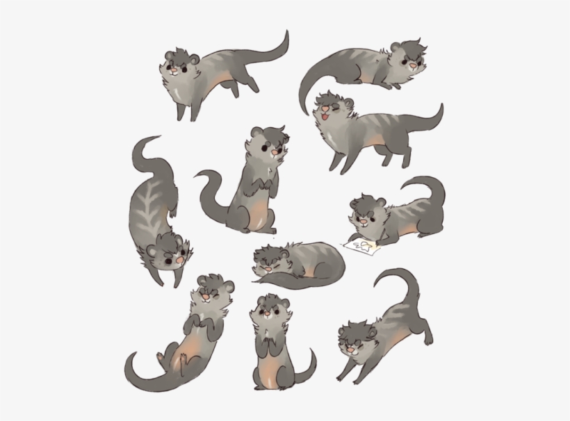 Commission For @thebookwolf - Ferret Art, transparent png download