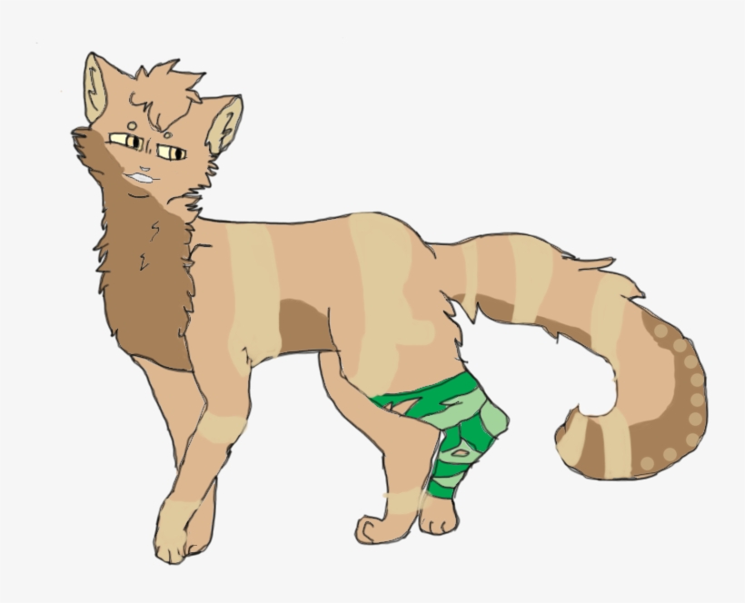 Ferret - Cat Yawns, transparent png download