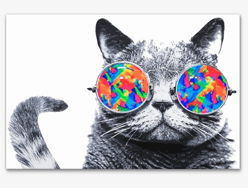 Canvas Print Art - Cool Cat Canvas Poster Framed On Wood Frame,cat Picture, transparent png download