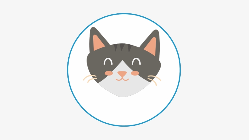 Cats - Rabbit, transparent png download