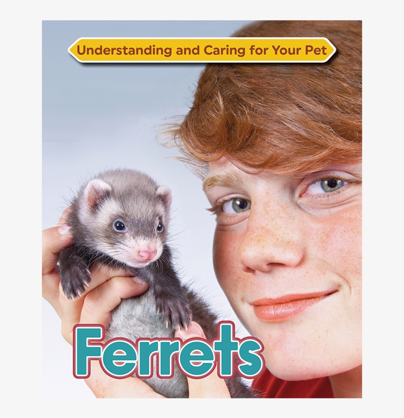 Ferrets - Ferrets By Anne Mcbride 9781422236956 (hardback), transparent png download