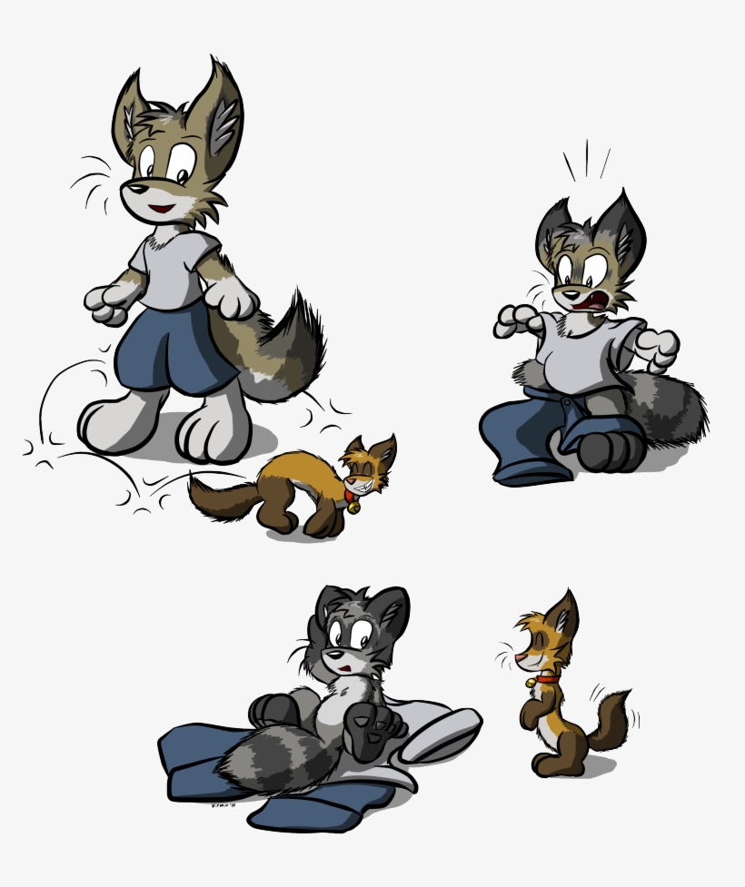Loose Raccoonification Ferret - Ferret, transparent png download