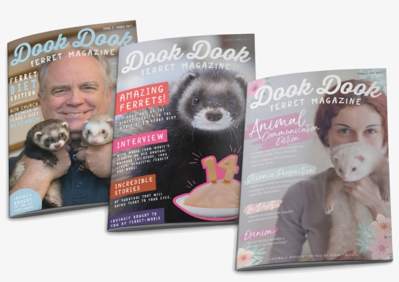 Untitled - Ferret, transparent png download