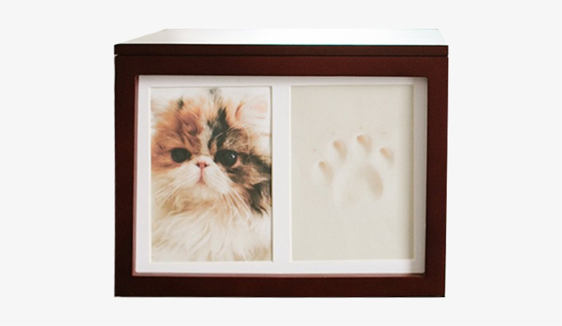Pet Memorial Wood Memory Box - Pet, transparent png download