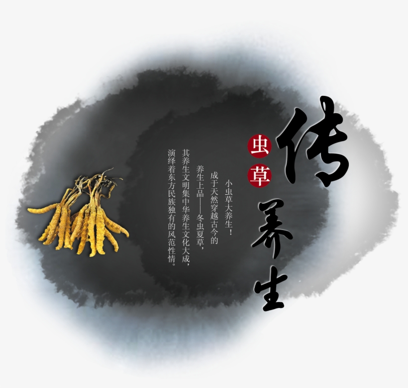 Design Of Chinese Medicine Art Word For Cordyceps Sinensis - 水墨 中国 风, transparent png download