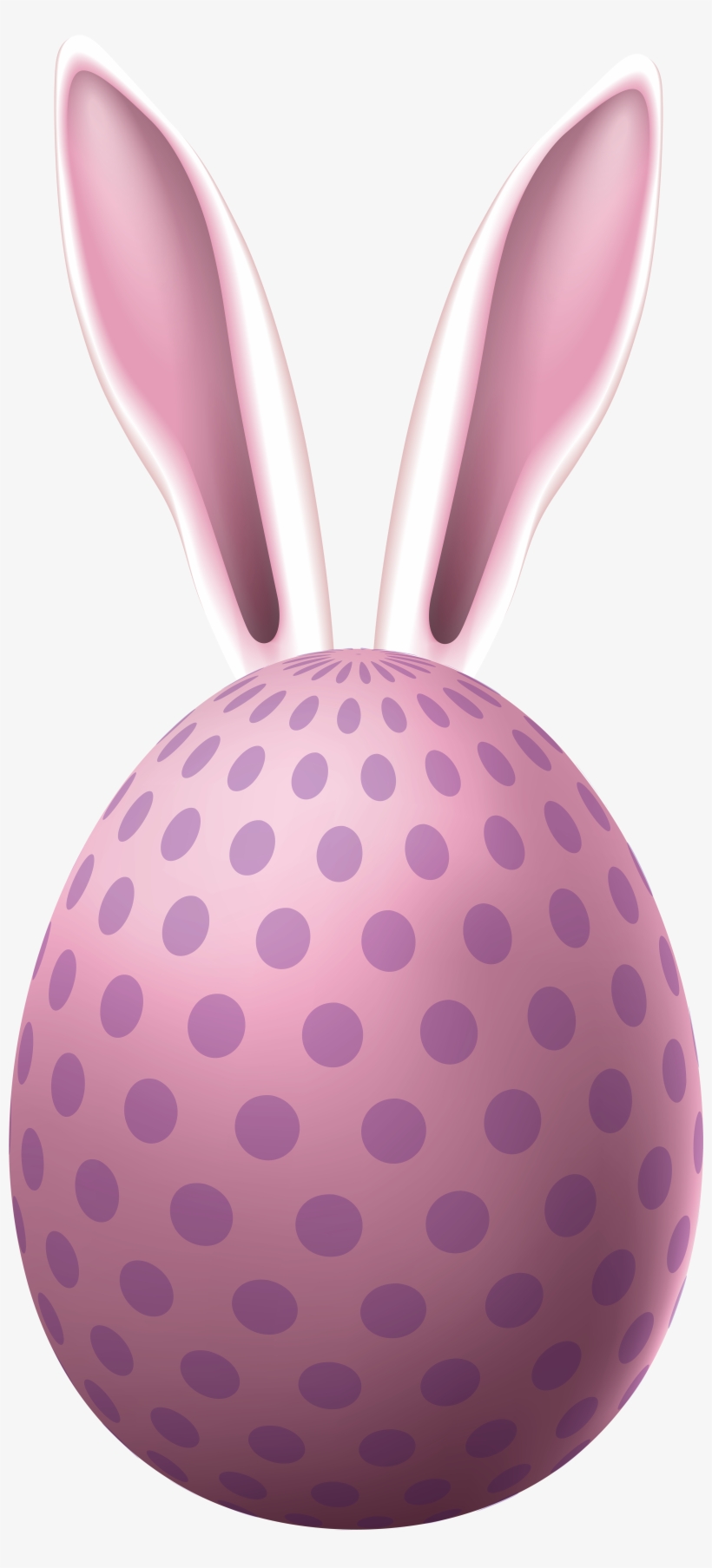 Rabbit, transparent png download