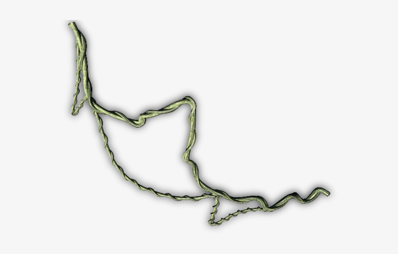 Jungle Vines Png Png Stock - Jungle Vines Png, transparent png download
