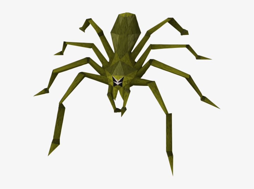 Jungle Vine Png Png Free Download - Vine Jungle, transparent png download