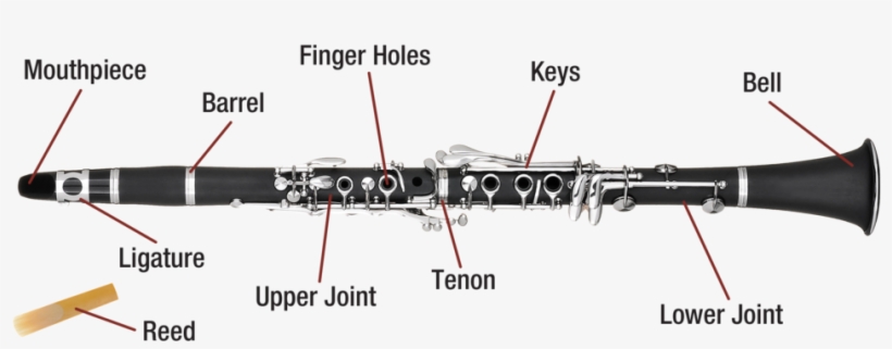 Clarinet - Piccolo Clarinet, transparent png download