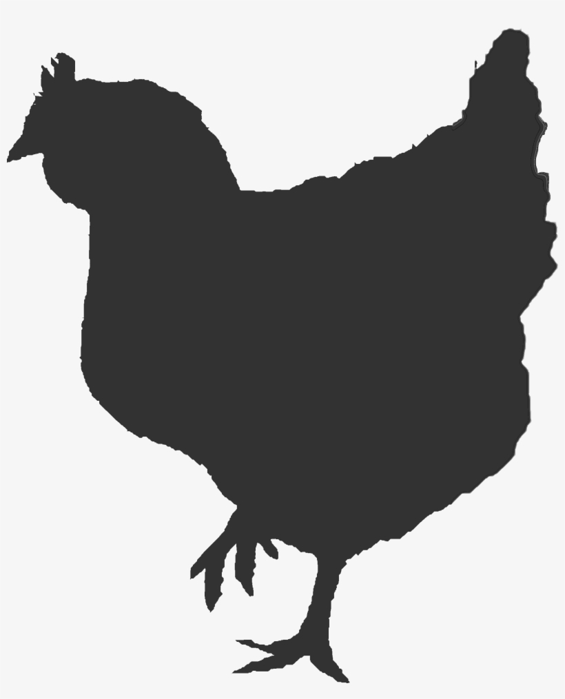 Ontario Broiler Chicken Hatching Egg Producers Association - Broiler Chicken Vector, transparent png download