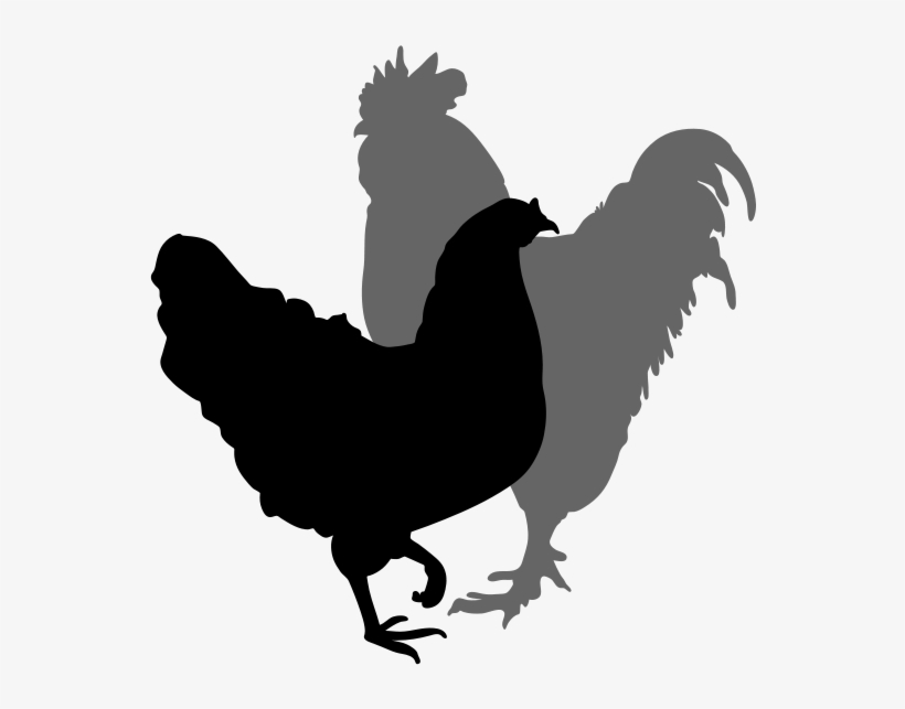 Chicken Silhouette Clipart Best - Clip Art, transparent png download