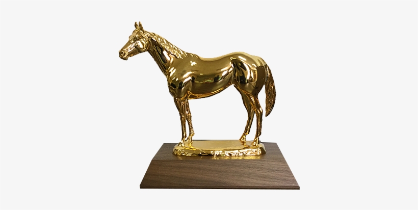 Aqha Level 1 Gold Trophy - Silver, transparent png download