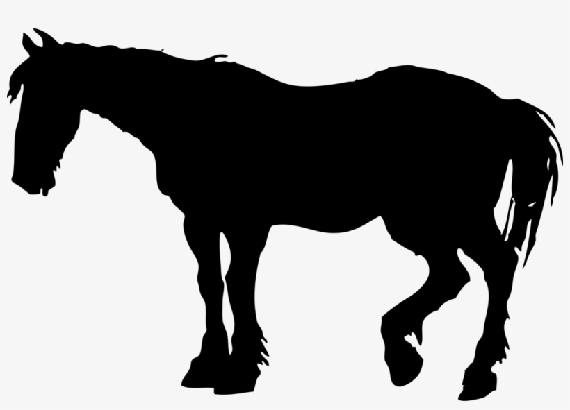 Head, Silhouette, Cartoon, Farm, Horse, Chicken - Horse Silhouette Clip Art, transparent png download