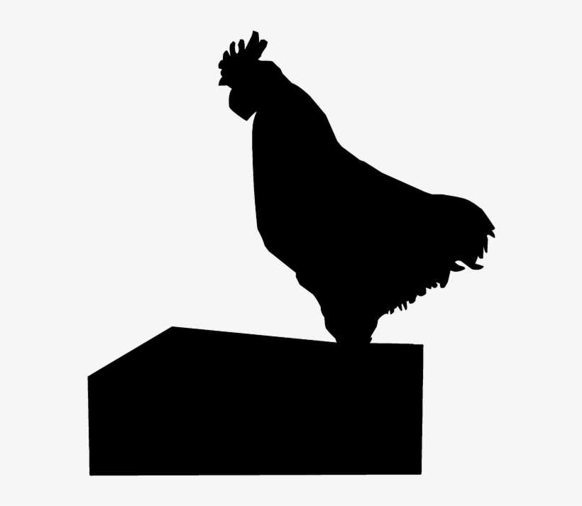 Chicken, Wall, Roaster, Poultry, Rooster, Crow, Farm - Chicken As Food, transparent png download