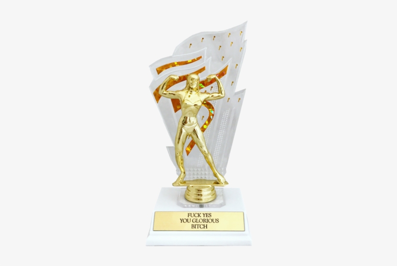 Fuck Yes You Glorious Bitch Trophy, transparent png download