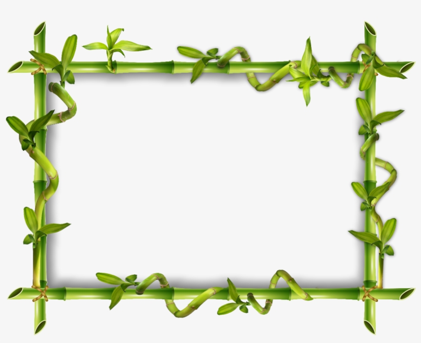 Cadre Bambou - Frame Zen Transparent PNG - 1300x1000 - Free Download on