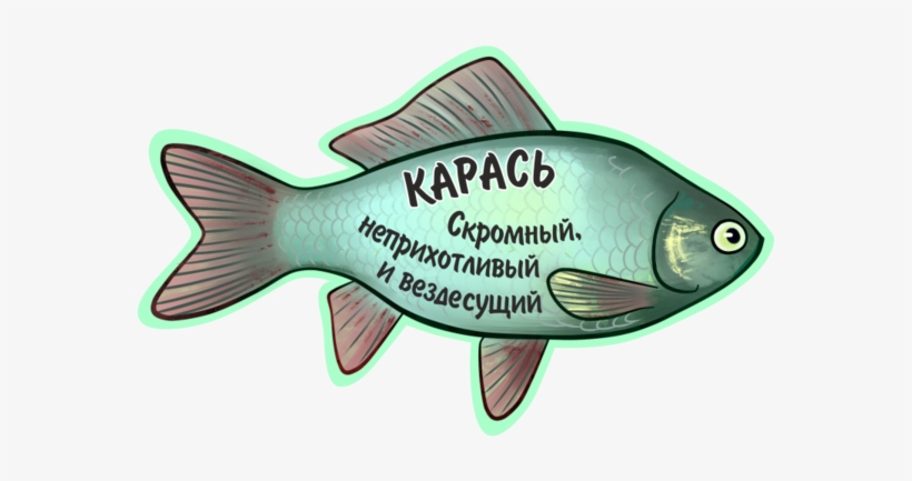 Carp - « - Ray-finned Fish, transparent png download