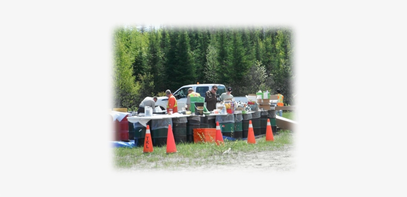 Fire - Tree, transparent png download