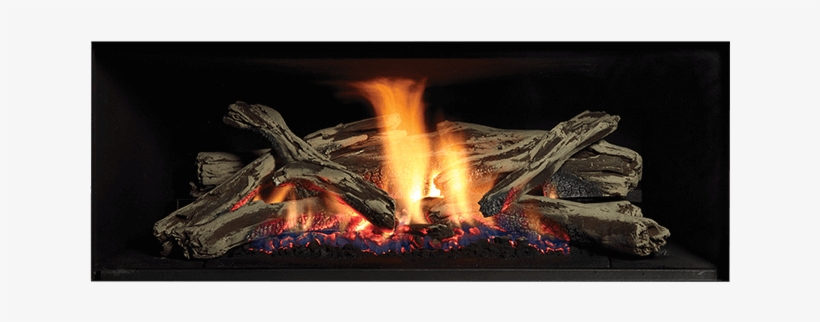 Standard Features - Regency Gf900l, transparent png download