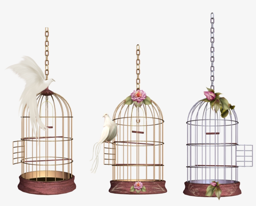 White Bird Cage Png Image - قفص عصفور Png, transparent png download