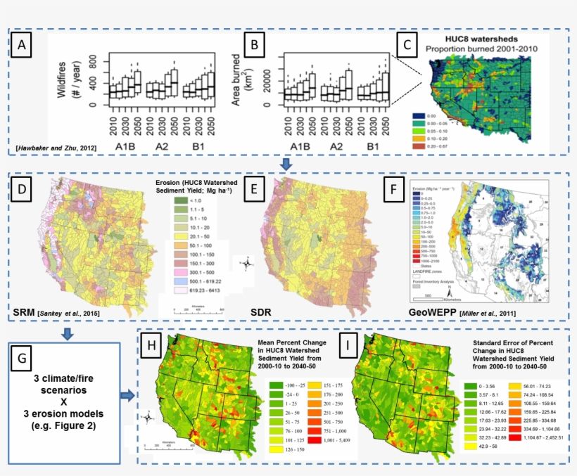 Overview Of Model Ensemble Synthesis Approach - Sonoran Desert, transparent png download