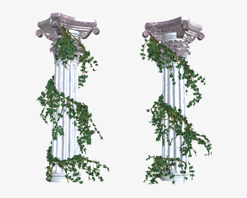 0, - Vines Transparent Png, transparent png download