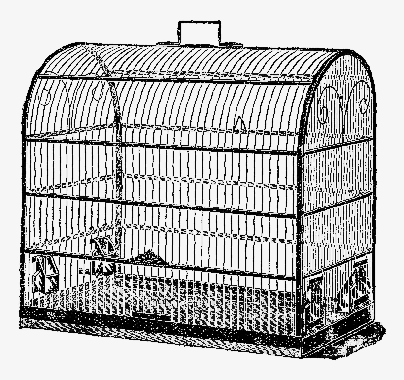 Bird Cage - Birdcage, transparent png download