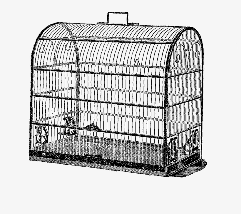 Free Bird Cage Digital Stamp - Birdcage, transparent png download