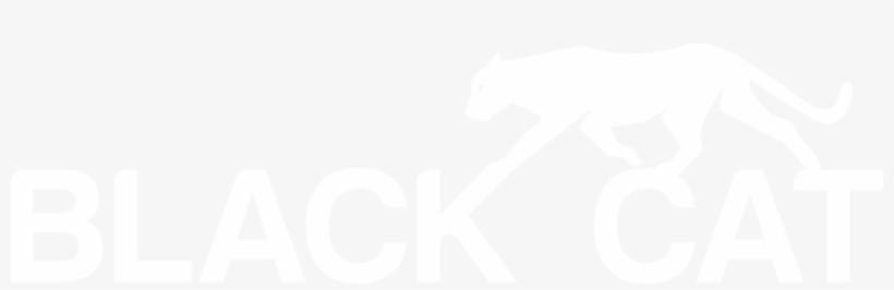 Black Cat Logo Low Res White - Traffic, transparent png download