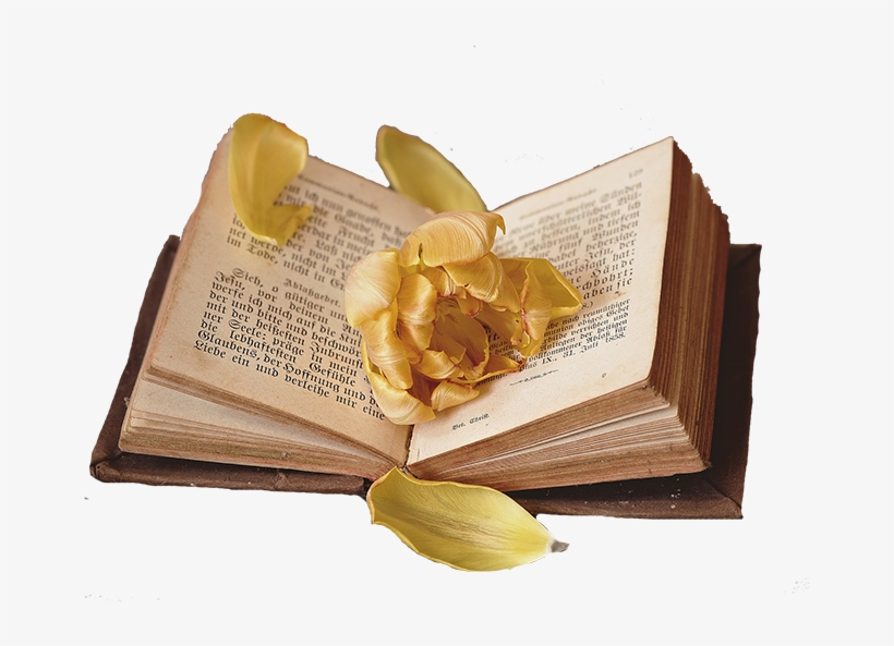 Report Abuse - Flowers In Open Book, transparent png download
