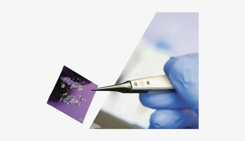 A Slide Holding Some Of The Wonder Material Graphene - Business, transparent png download