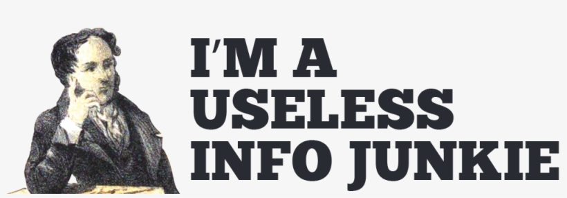 I'm A Useless Info Junkie - 365 Printing God Bless Usa White 11oz Ceramic Mug Unique, transparent png download