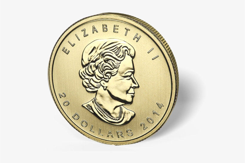 Picture Of 1/2 Oz Canadian Gold Maple Leaf - Canadian Gold Maple Leaf, transparent png download