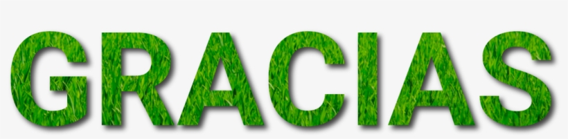 Por Enviarnos Su Solicitud De Información - Mis Hijos Mi Orgullo, transparent png download