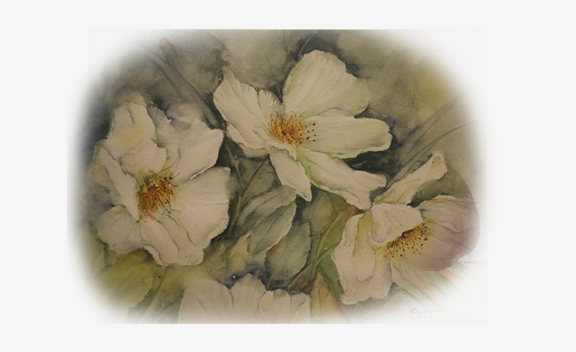 Rosa Canina, transparent png download